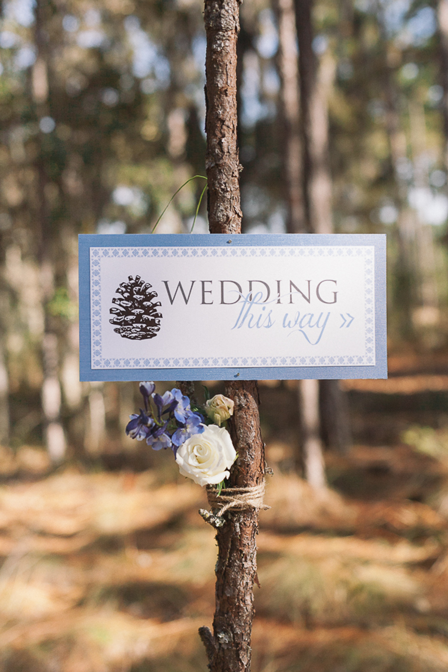 DIY Weddings, Style Me Pretty, Florida Winter Shoot, Pine Cone themed wedding,