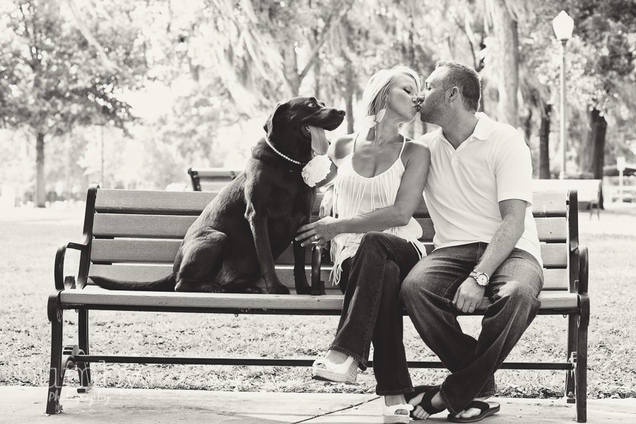 engagement couple kissing on bench with dog