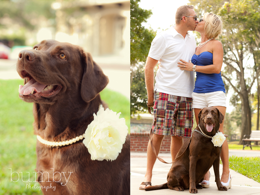 dog with flower necklace couple kissing with dog at engagement session
