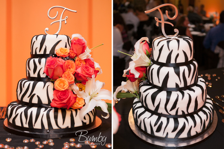 zebra print cake with burnt orange roses orlando wedding photographer