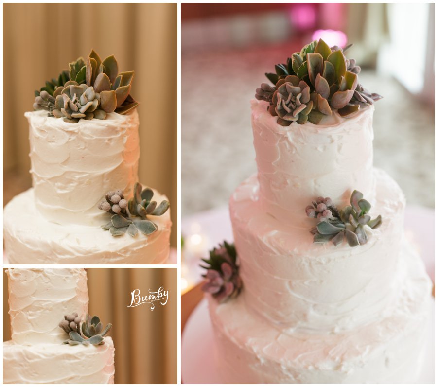 Succulent_Wedding_Cake_Orlando_Wedding_Photographer_MD_0001