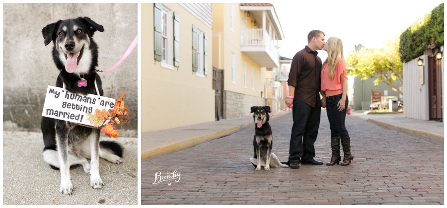 couple with dog during engagement session