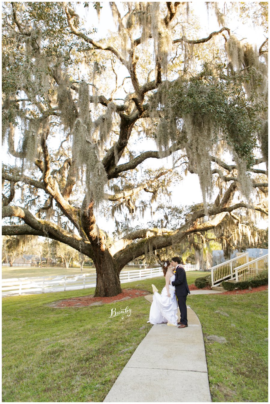 highland manor wedding couple under oak tree kissing