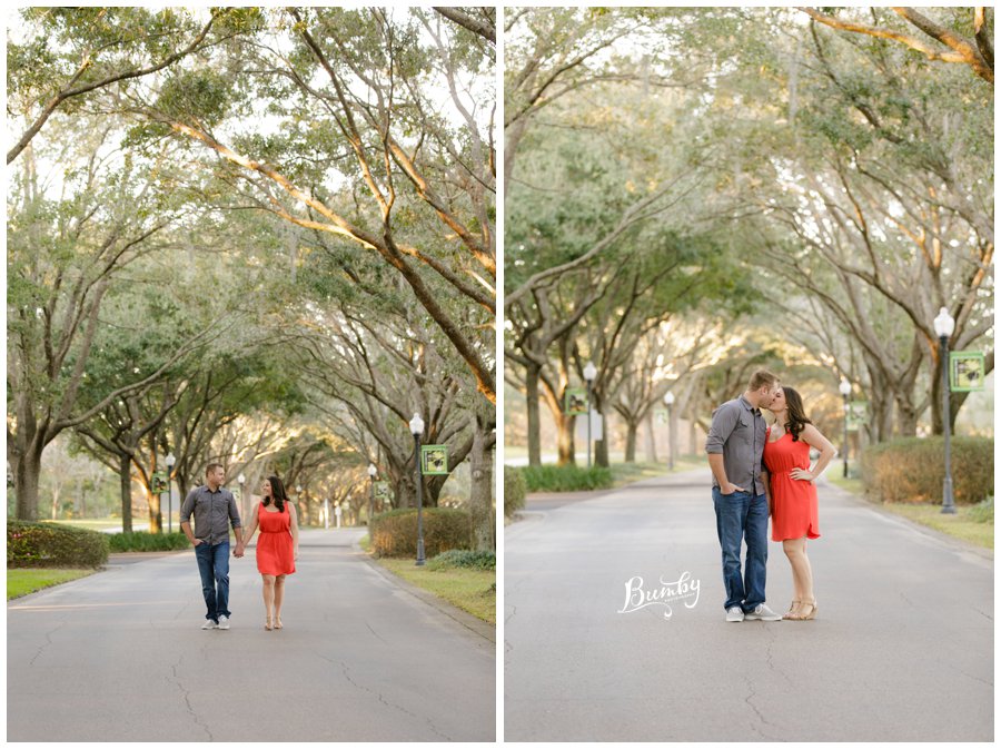View More: http://bumbyphotography.pass.us/chelseadrewengaged