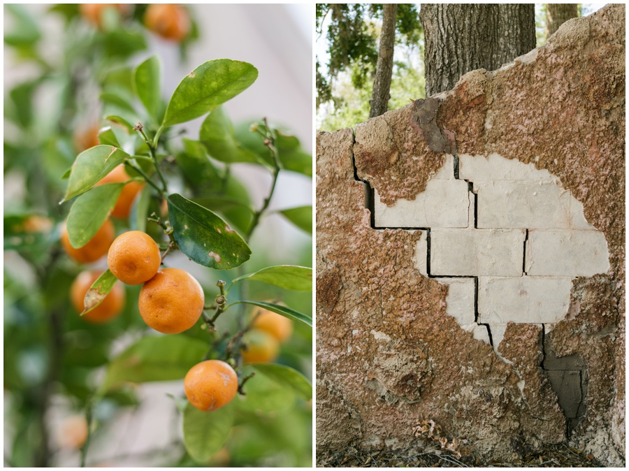 Shell stone brick at howey mansion wedding cumquat tree