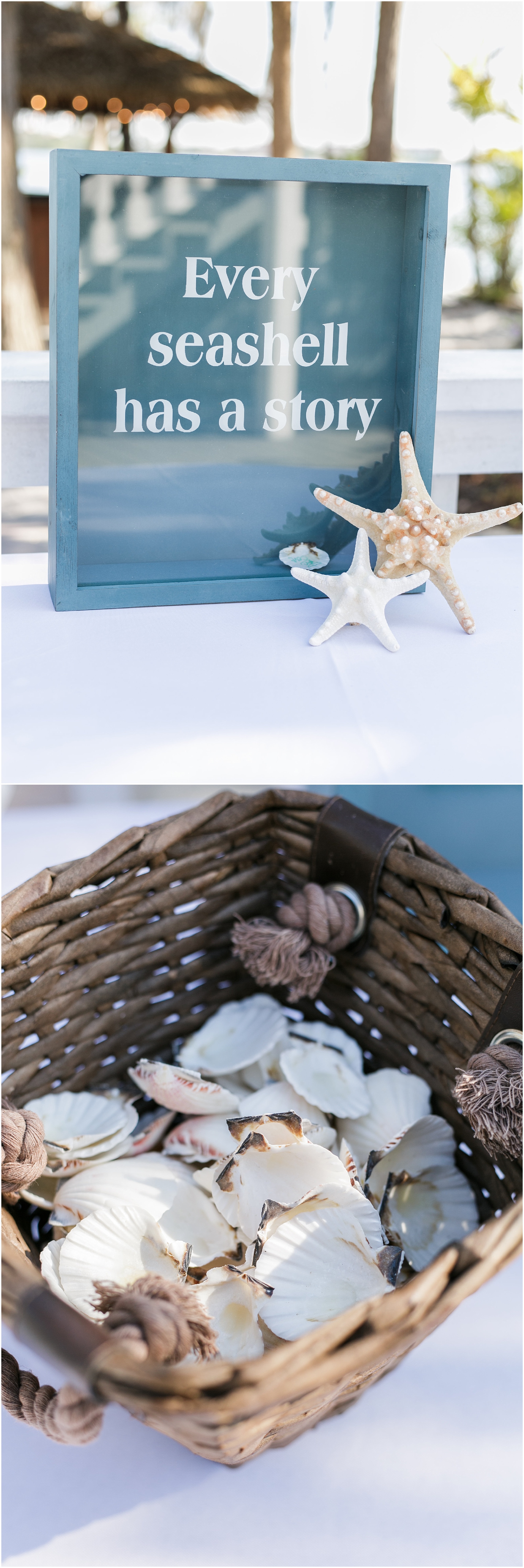 Seashells for guests to sign for the bride and groom. 