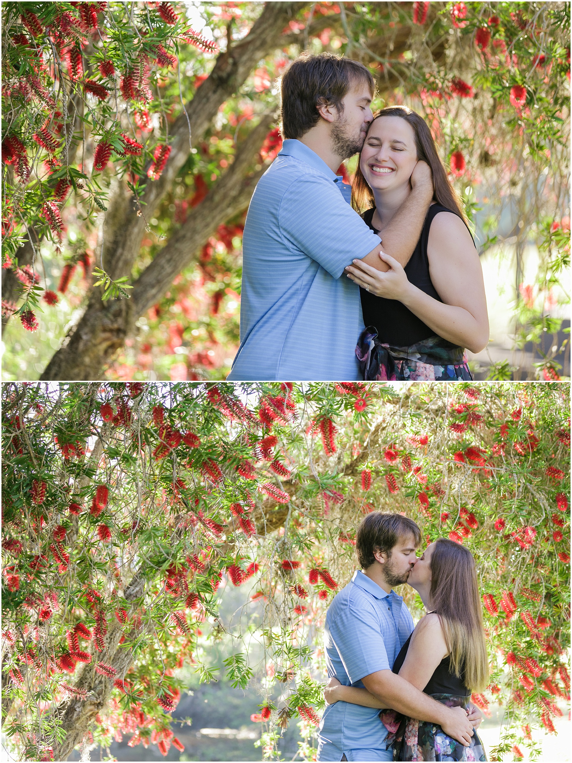 High school sweethearts hugging and kissing under a tree with red flowers.