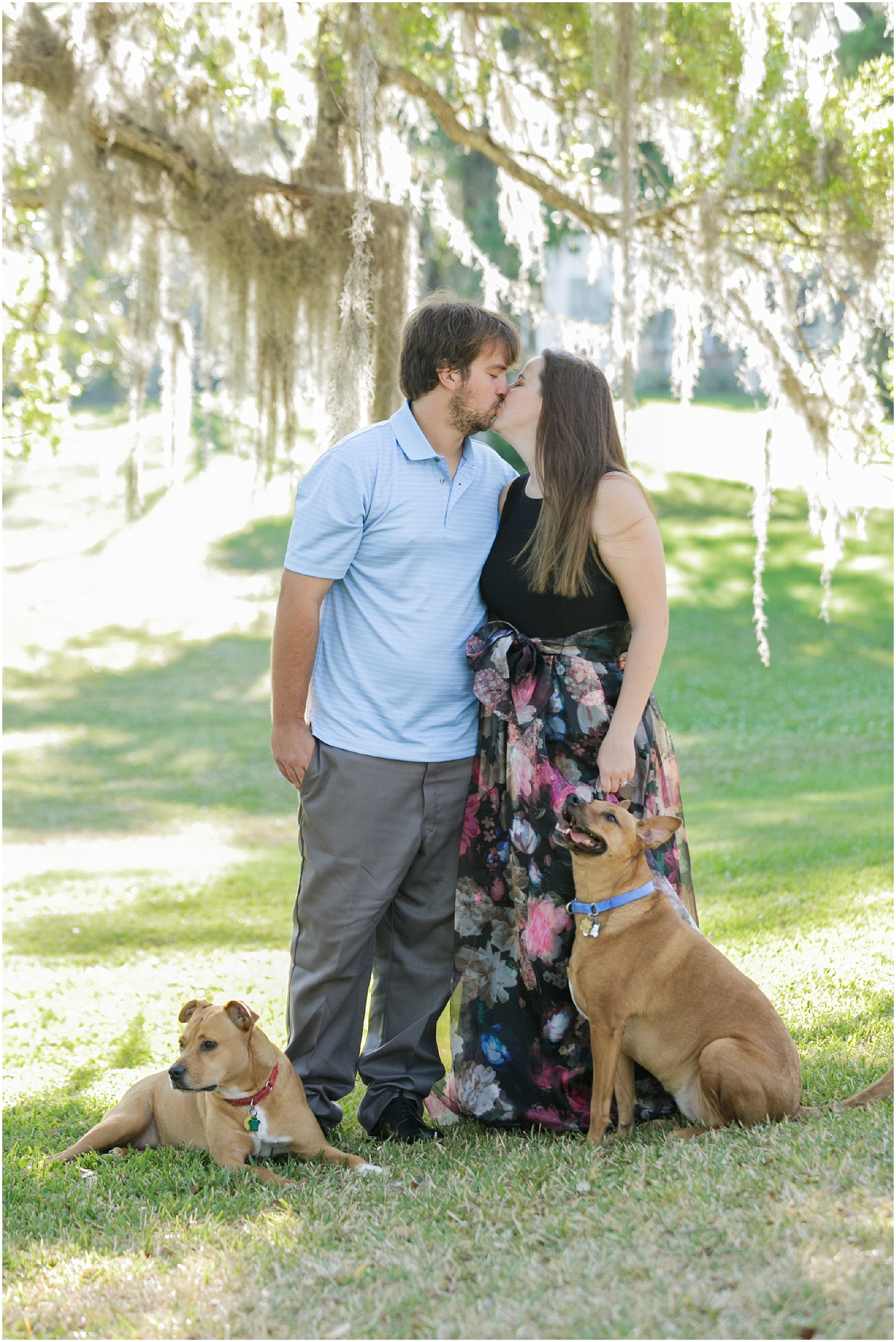 Engagement session couple kissing under a tree while their dogs sit next to them. 