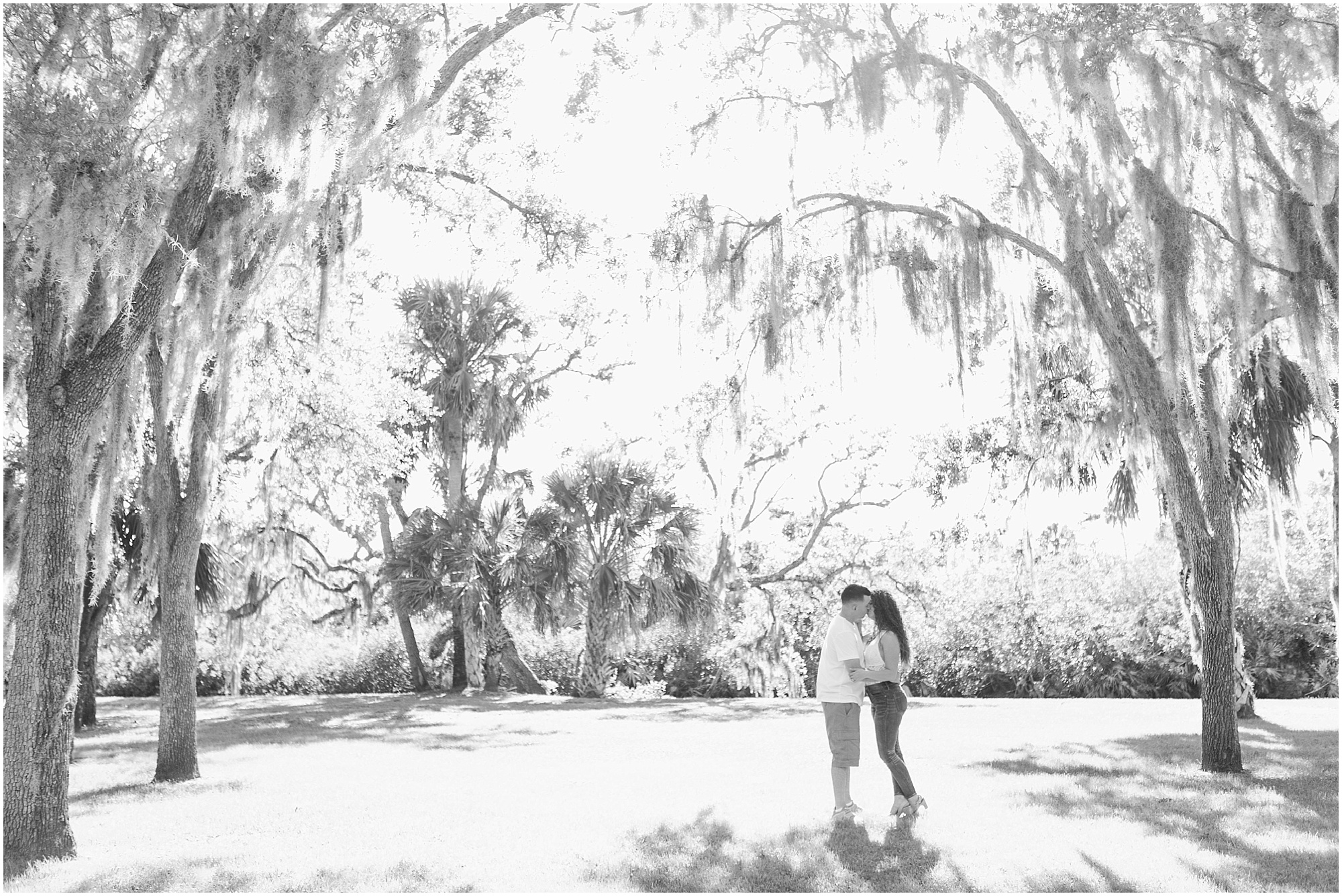 Black and white photo of an engaged couple kissing while standing under old trees.