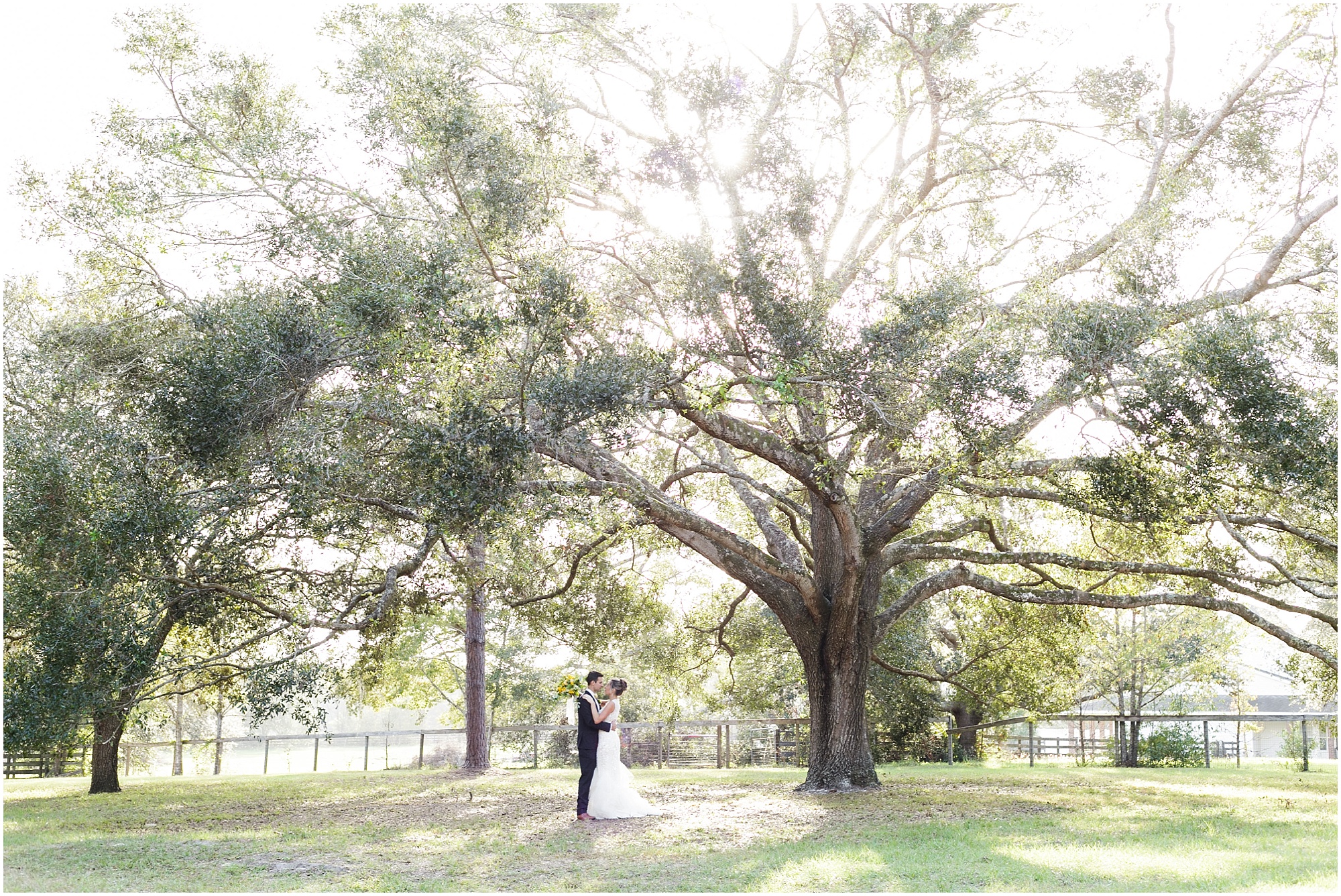 Couple holding each other under the large oak trees behind Arundel Estate.