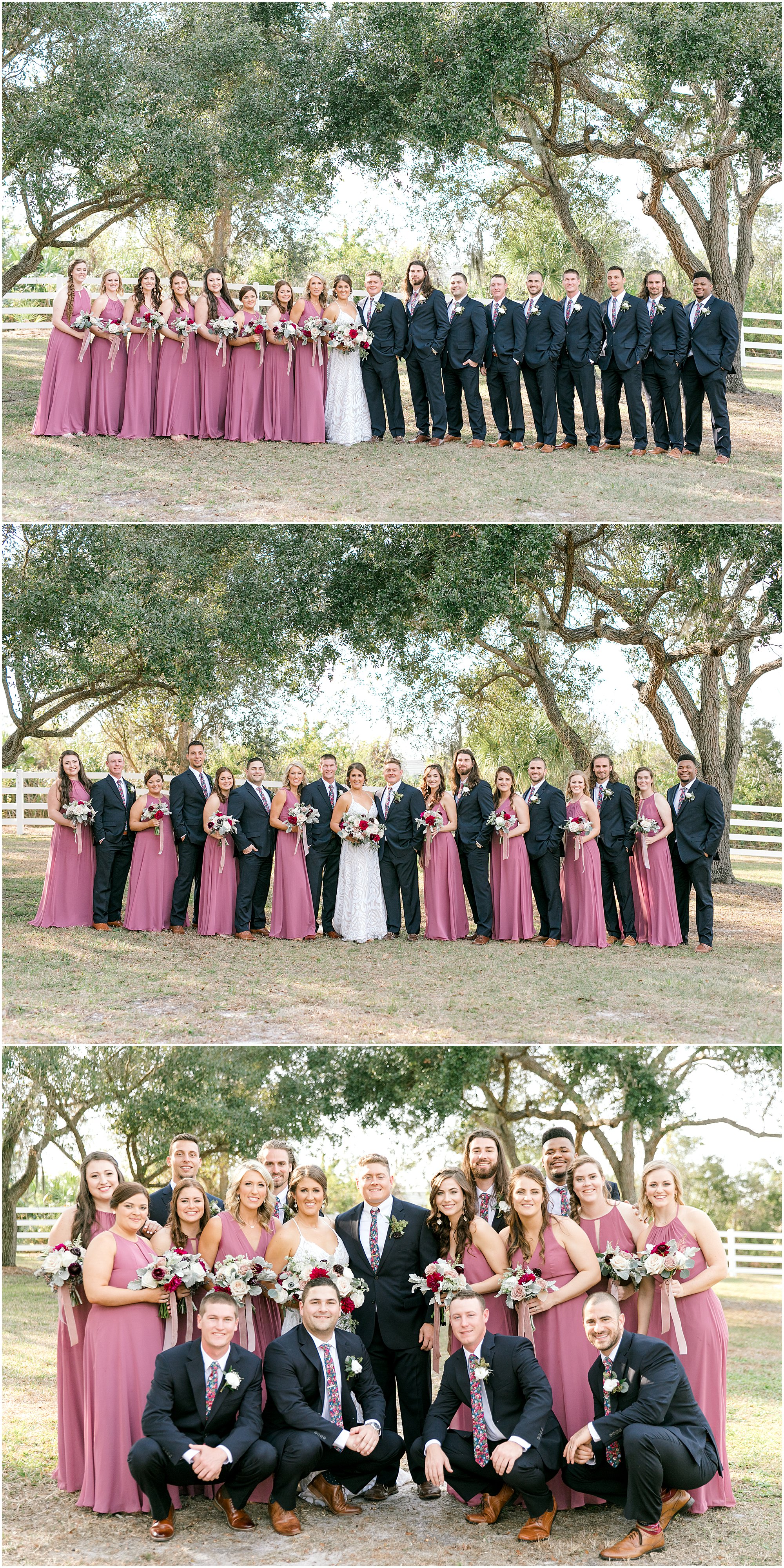 Wedding party gathered together on the lawn for portraits with bridesmaids in dusty rose color dresses