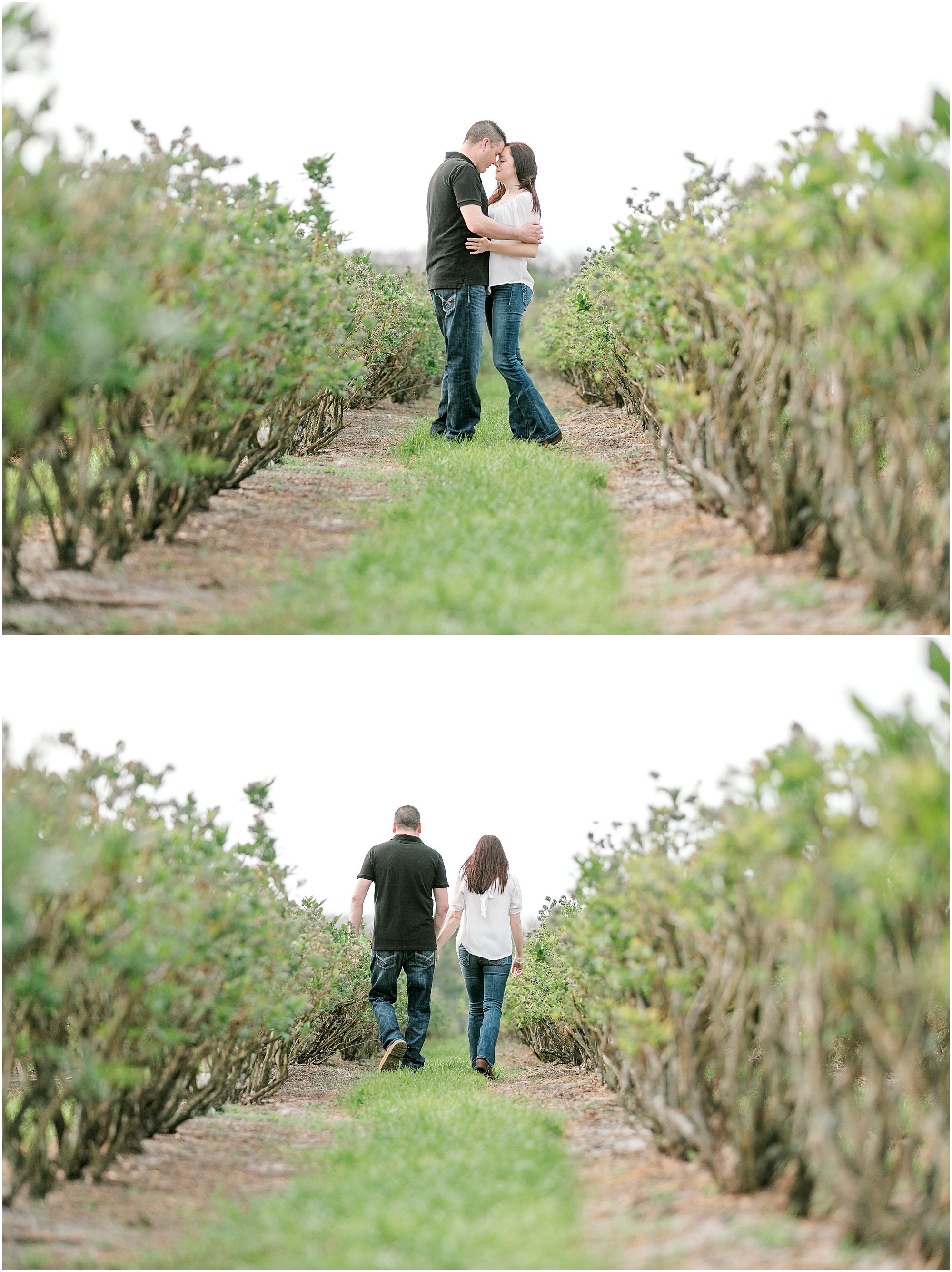 Couple stand in a field of trees and walk along the path
