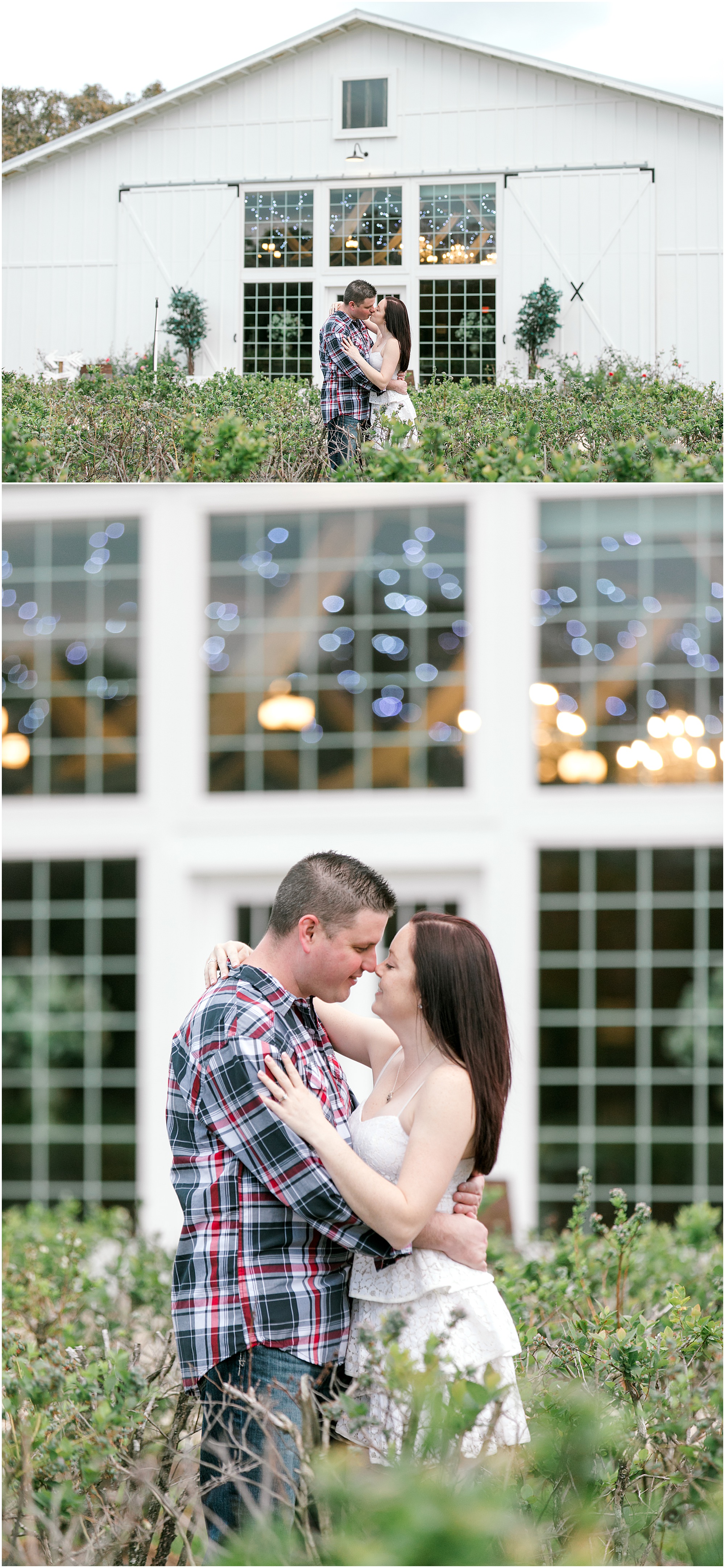 engagement session couple stand in the shrubs with a white barn behind them.