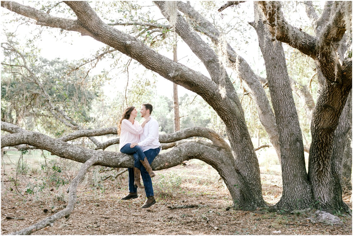 couple in old tree