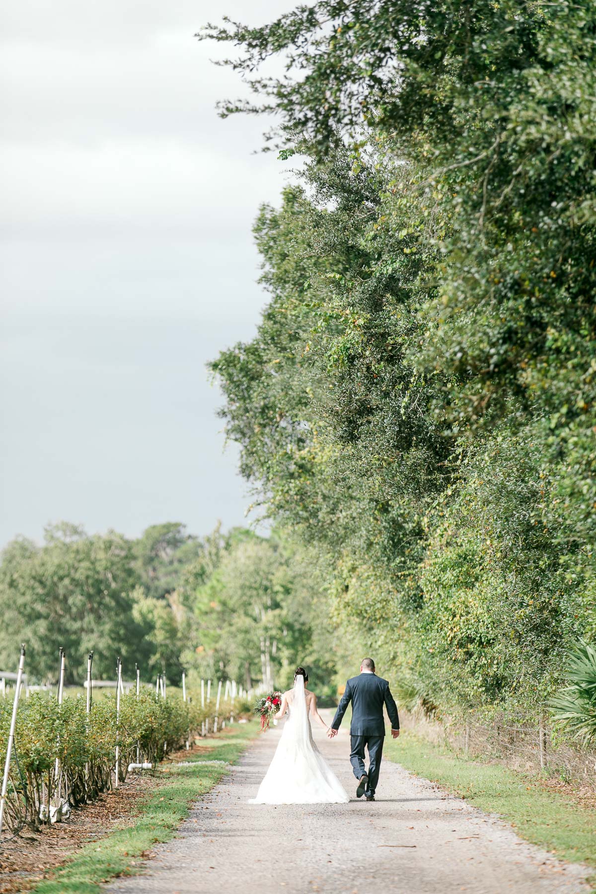 Bride and groom walking hand in hand down a dirt road