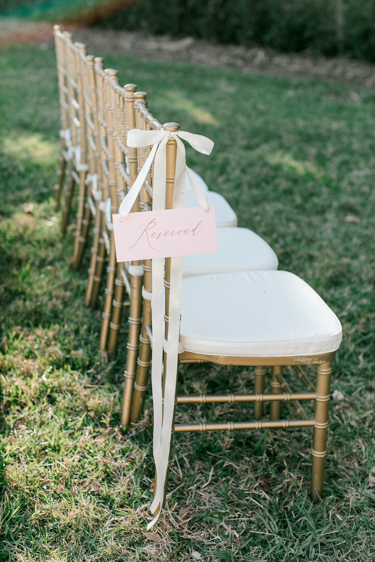 White and gold chairs lined up for wedding ceremony